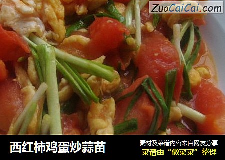 西红柿鸡蛋炒蒜苗