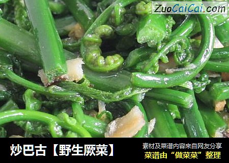 炒巴古［野生厥菜］