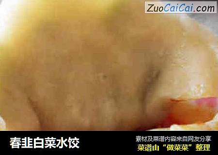 春韭白菜水饺