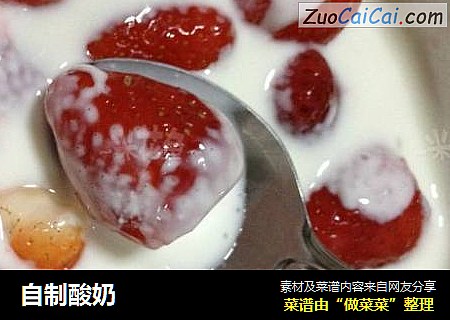 自制酸奶