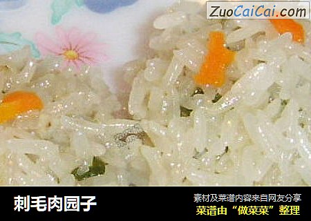 刺毛肉园子