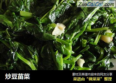 炒豆苗菜