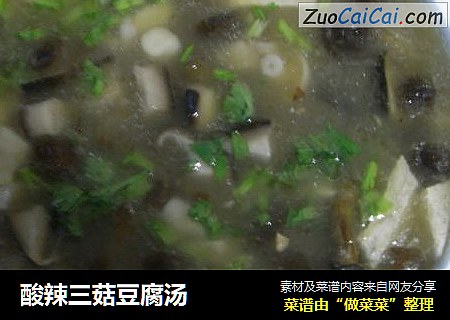 酸辣三菇豆腐汤