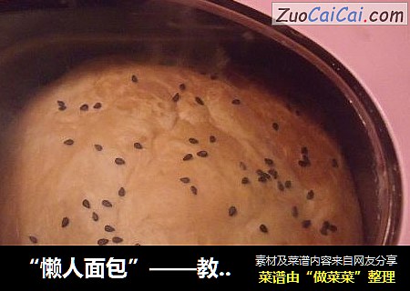 “懒人面包”——教你玩转面包机
