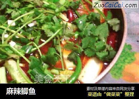 麻辣鲫鱼