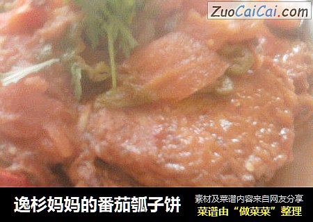 逸杉妈妈的番茄瓠子饼