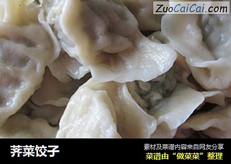 荠菜饺子