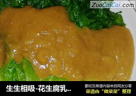 生生相吸-花生腐乳酱拌生菜
