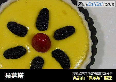 桑葚塔