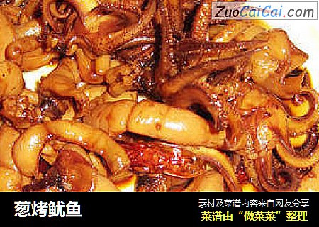 葱烤鱿鱼