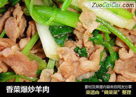 香菜爆炒羊肉