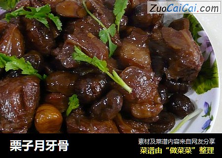 栗子月牙骨