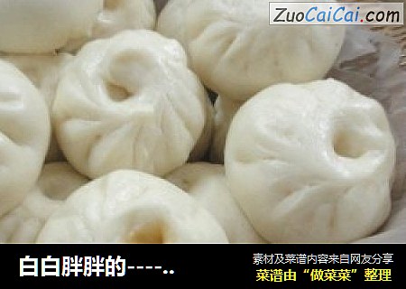 白白胖胖的------酸菜猪肉包子