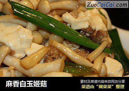 麻香白玉姬菇