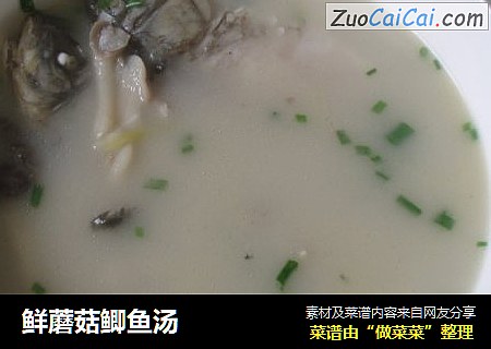 鲜蘑菇鲫鱼汤