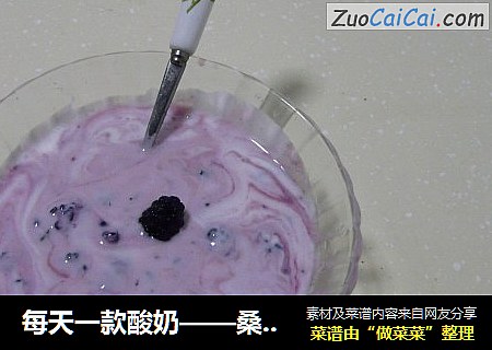 每天一款酸奶——桑葚酸奶