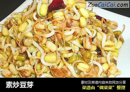 素炒豆芽