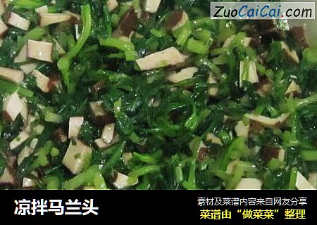凉拌马兰头