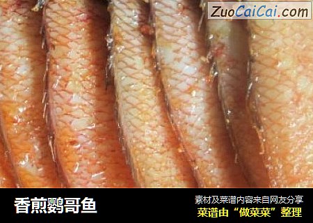 香煎鹦哥鱼