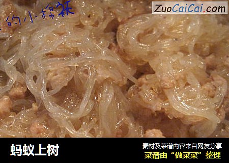 蚂蚁上树