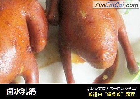 卤水乳鸽