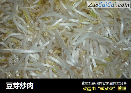 豆芽炒肉