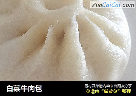 白菜牛肉包