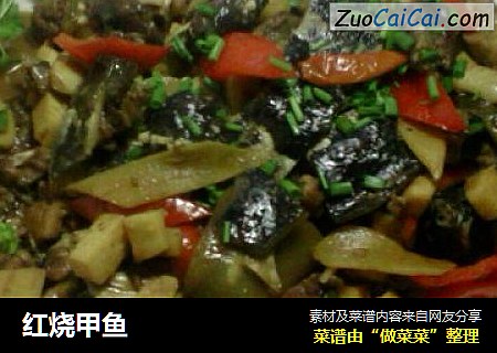 红烧甲鱼