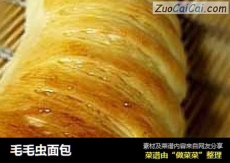 毛毛虫面包