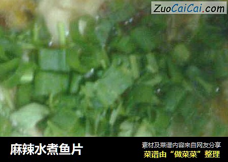 麻辣水煮鱼片