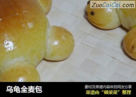 乌龟全麦包