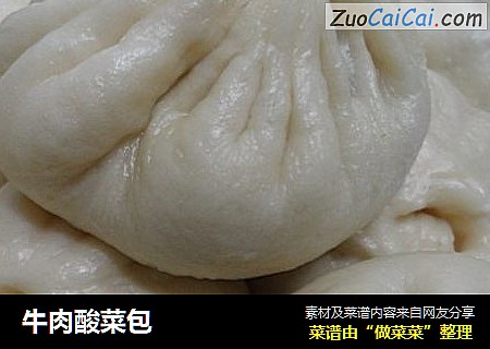 牛肉酸菜包