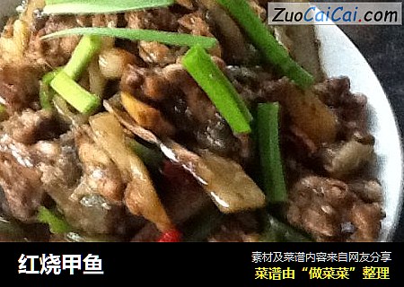 红烧甲鱼