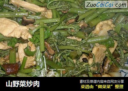 山野菜炒肉