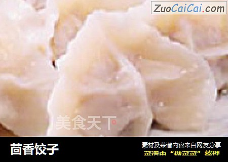 茴香饺子
