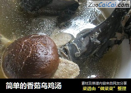 简单的香茹乌鸡汤