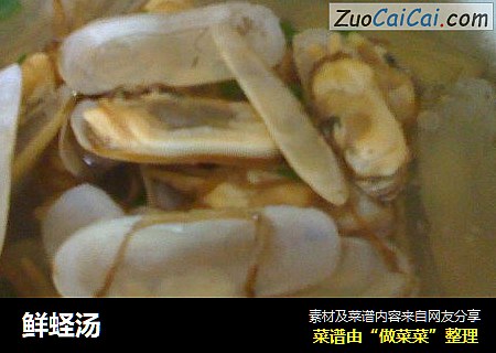 鲜蛏汤