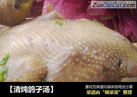 【清炖鸽子汤】