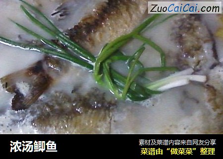 浓汤鲫鱼