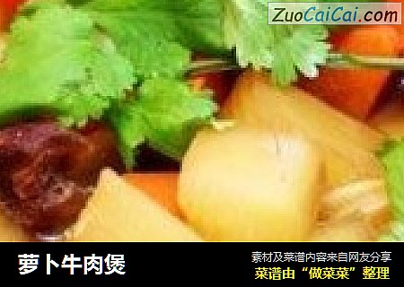 萝卜牛肉煲