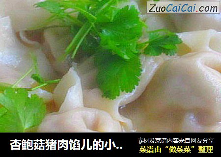 杏鲍菇猪肉馅儿的小馄饨