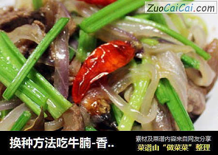 换种方法吃牛腩-香辣回锅牛腩