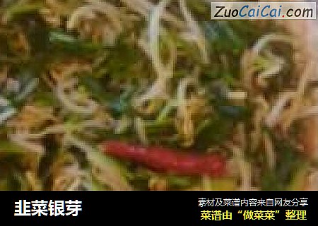 韭菜银芽
