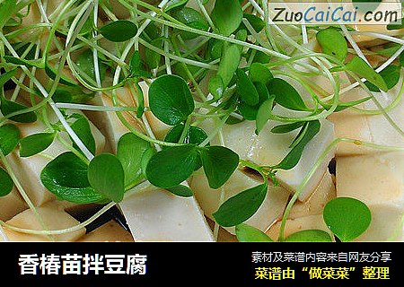 香椿苗拌豆腐