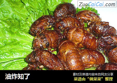 油炸知了