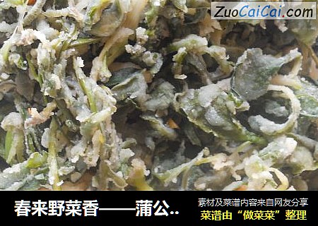 春来野菜香——蒲公英蒸着吃