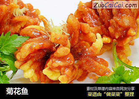 菊花鱼