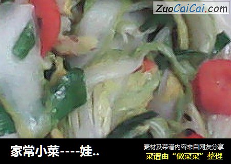 家常小菜----娃娃菜