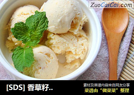 [SDS] 香草籽冰淇淋 Homemade Vanilla Ice Cream