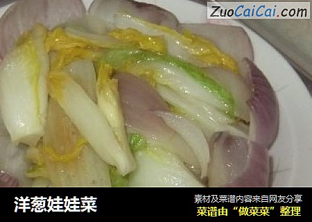 洋葱娃娃菜